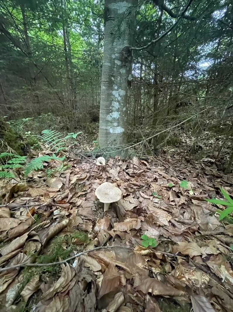 item 325 — 1