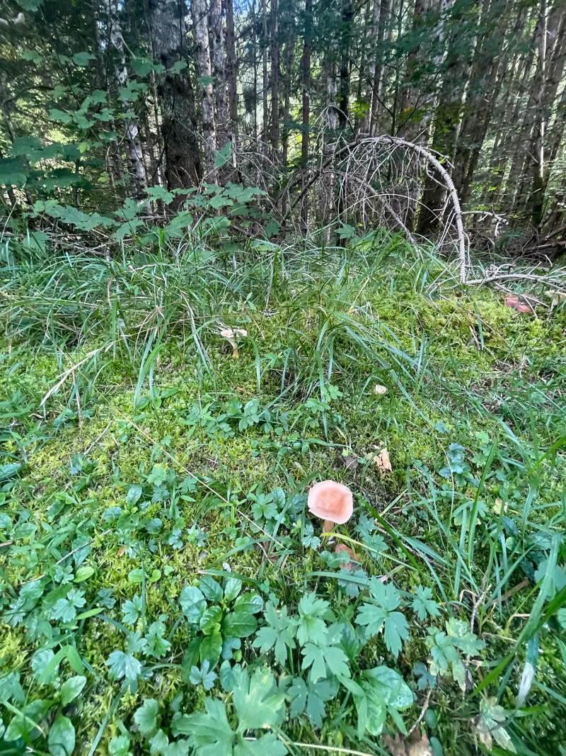 item 110 — 1