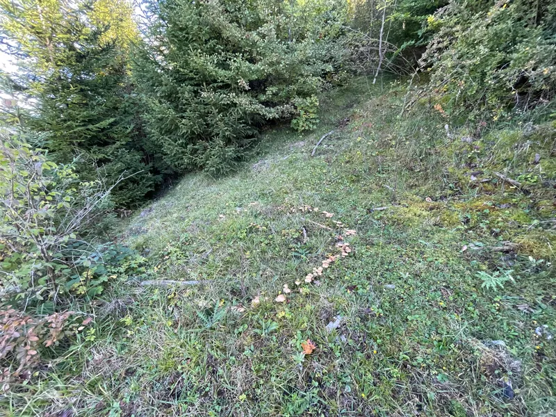 item 399 — 1