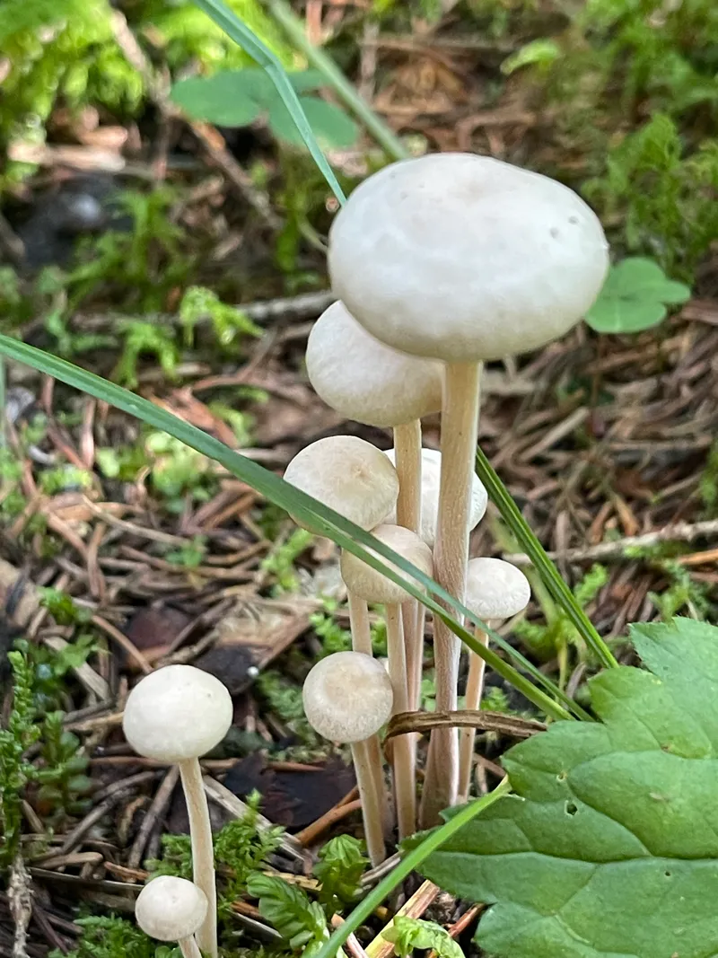 item 30 — 1