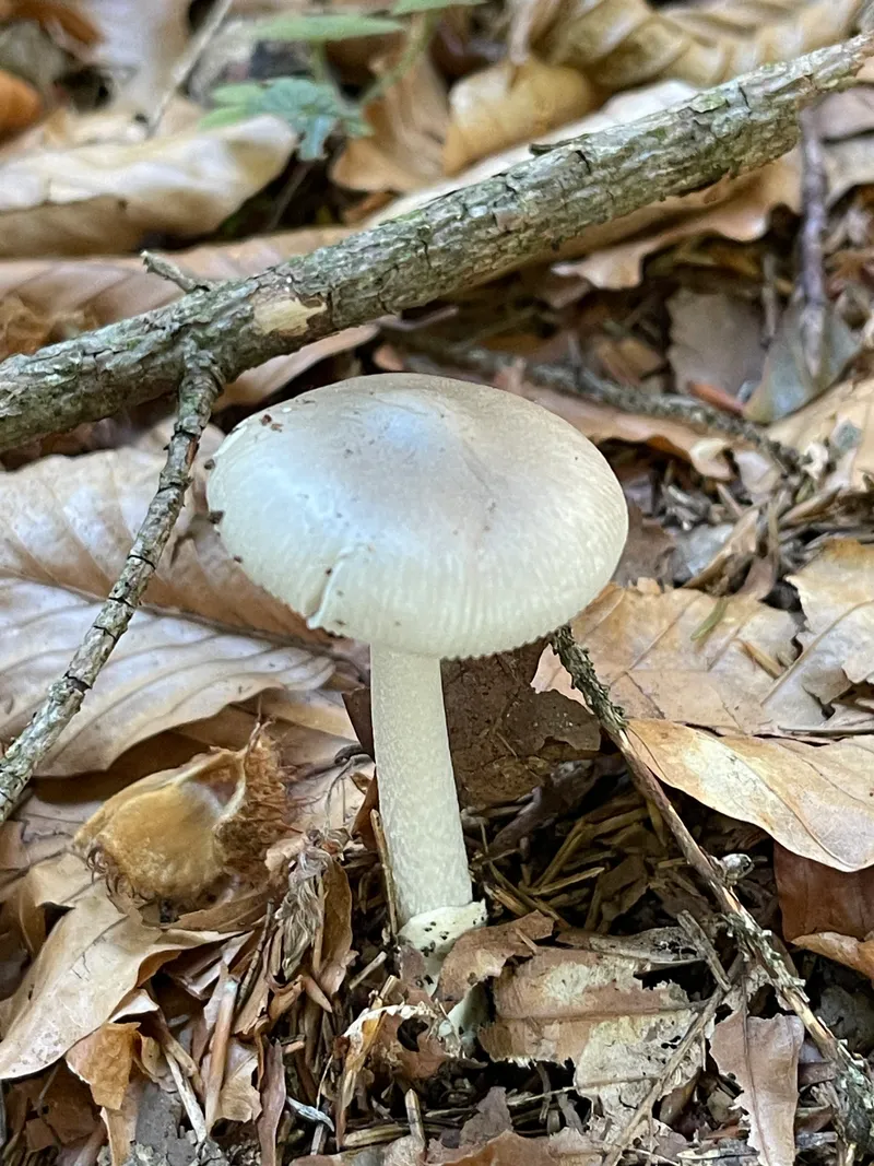 item 69 — 2