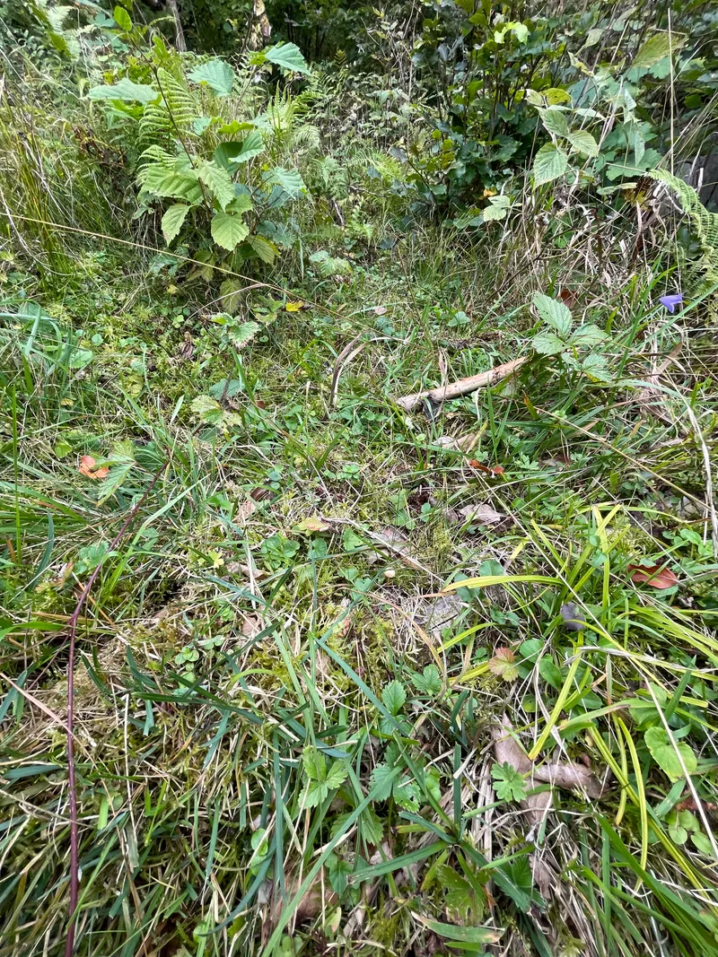 item 360 — 2