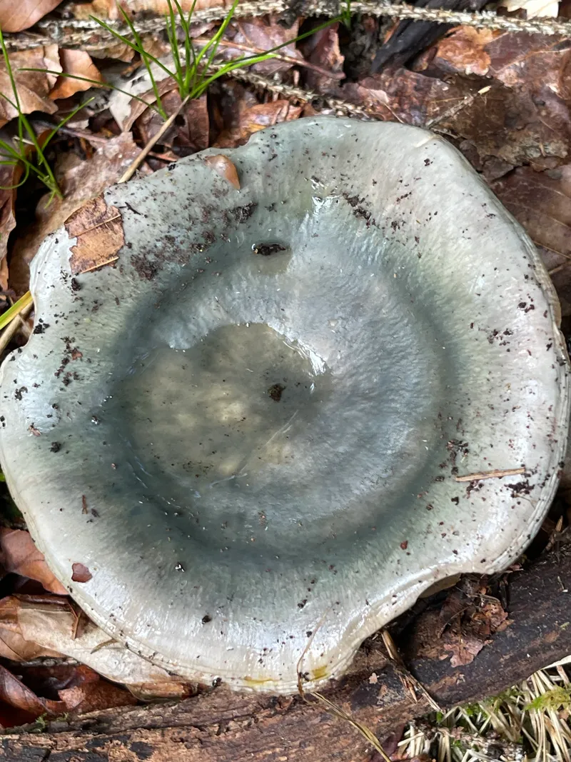 item 156 — 3