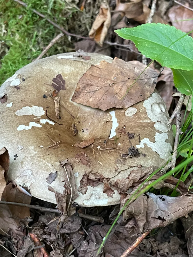 item 320 — 3