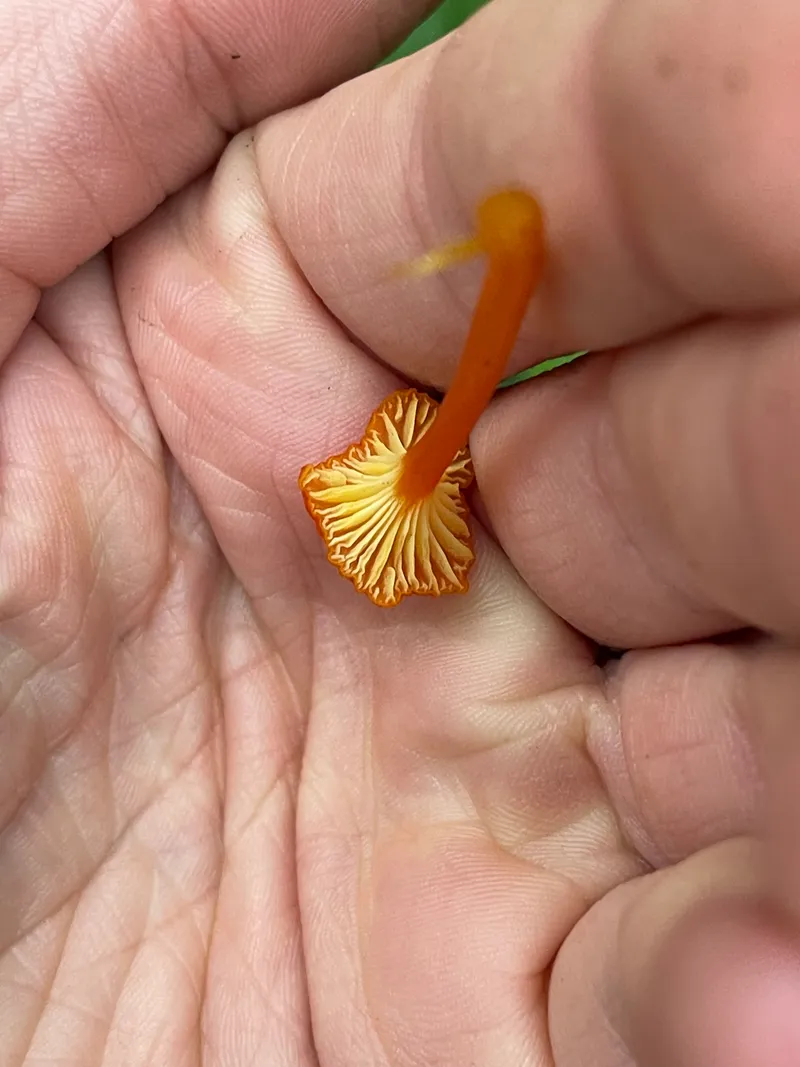 item 354 — 4
