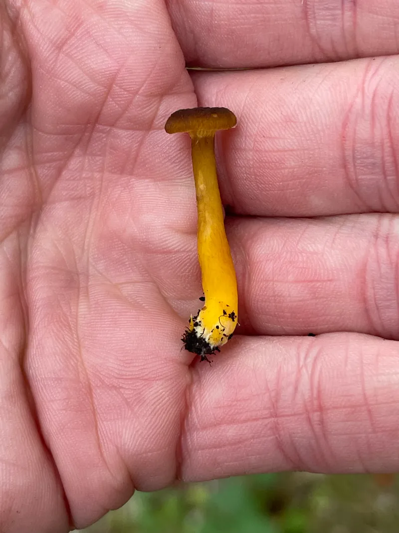 item 352 — 4