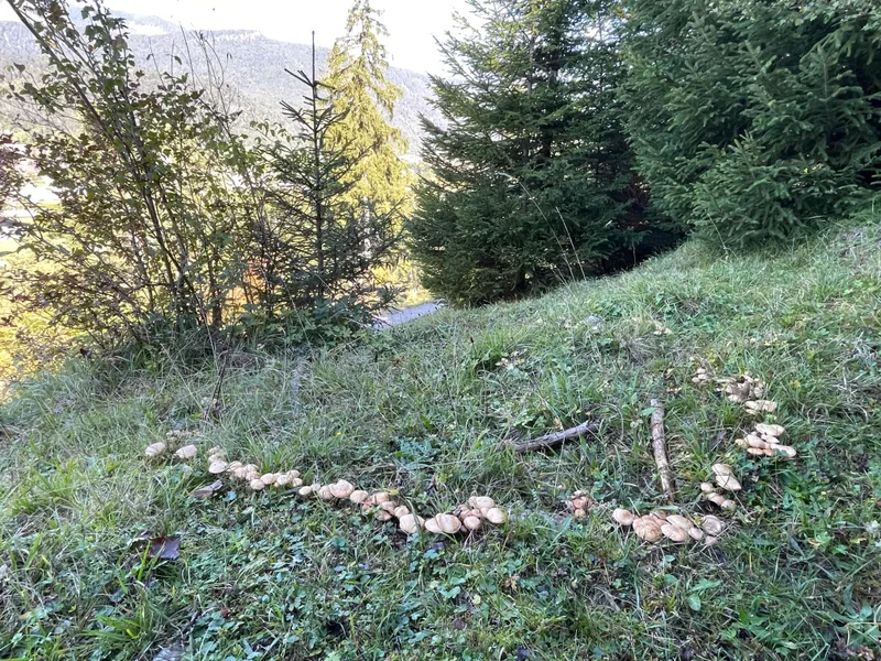 item 399 — 4