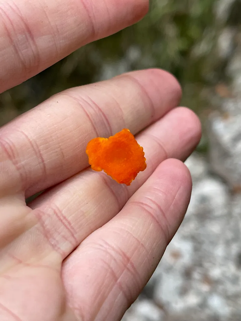 item 354 — 5