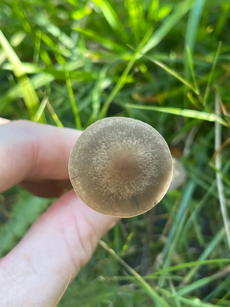 item 374 — 6