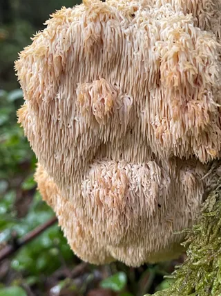  — 3