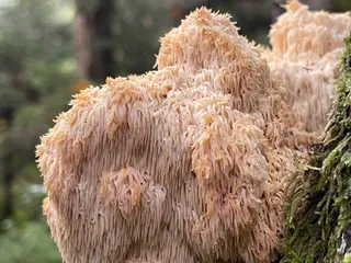  — 4