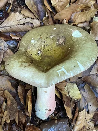  — 3